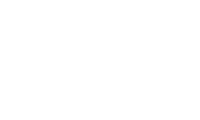 Alternative Mobility